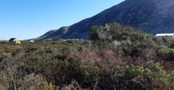 Plot for sale, 7358 m2 | bordering greenbelt
