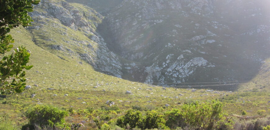 Erf 2639 Pipe Road Bettys Bay