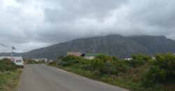 Guaranteed sea views down the road