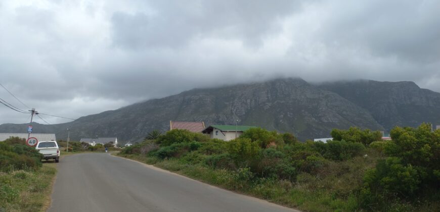 Guaranteed sea views down the road