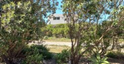 Path onto swimming Cove …. SOLE MANDATE