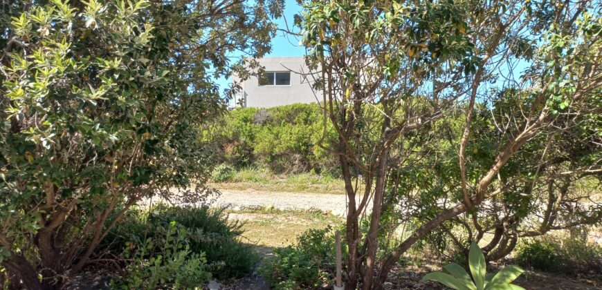 Path onto swimming Cove …. SOLE MANDATE