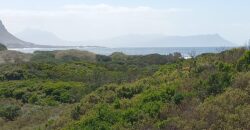 Path onto swimming Cove …. SOLE MANDATE