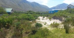 “Blank Canvas near Grootwitvlei”