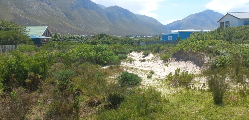 “Blank Canvas near Grootwitvlei”