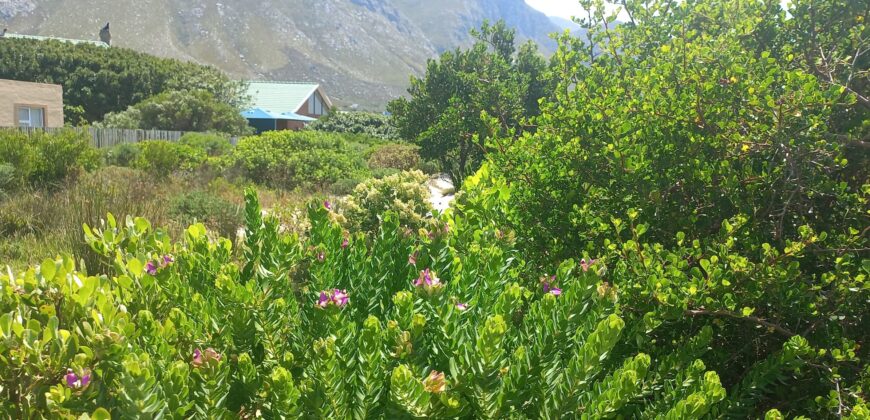 “Blank Canvas near Grootwitvlei”