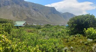 “Blank Canvas near Grootwitvlei”