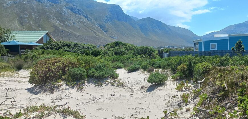 “Blank Canvas near Grootwitvlei”
