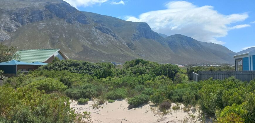 “Blank Canvas near Grootwitvlei”