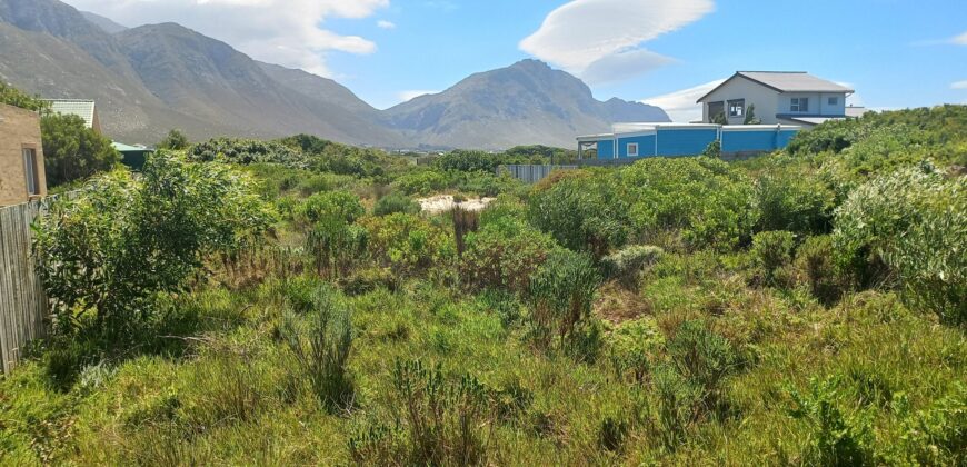 “Blank Canvas near Grootwitvlei”