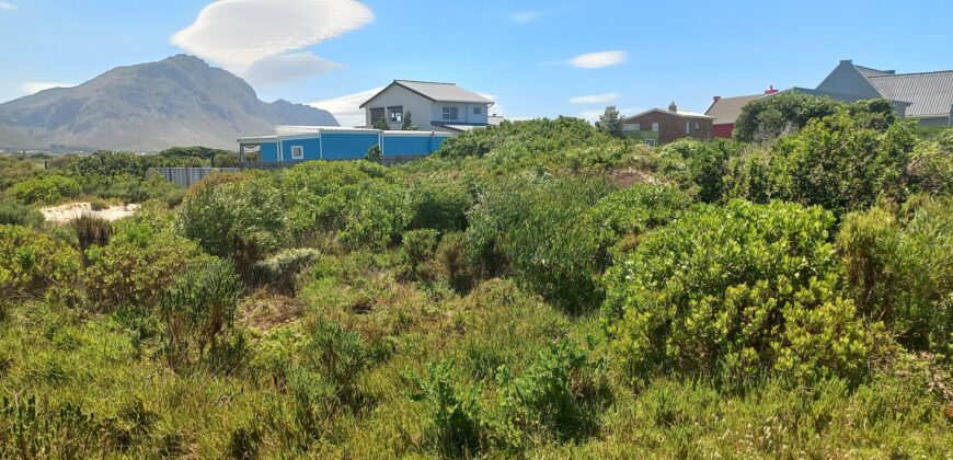 “Blank Canvas near Grootwitvlei”