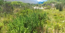 “Blank Canvas near Grootwitvlei”
