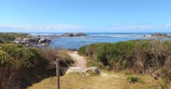 “A genuine Stone’s Throw from the Ocean”