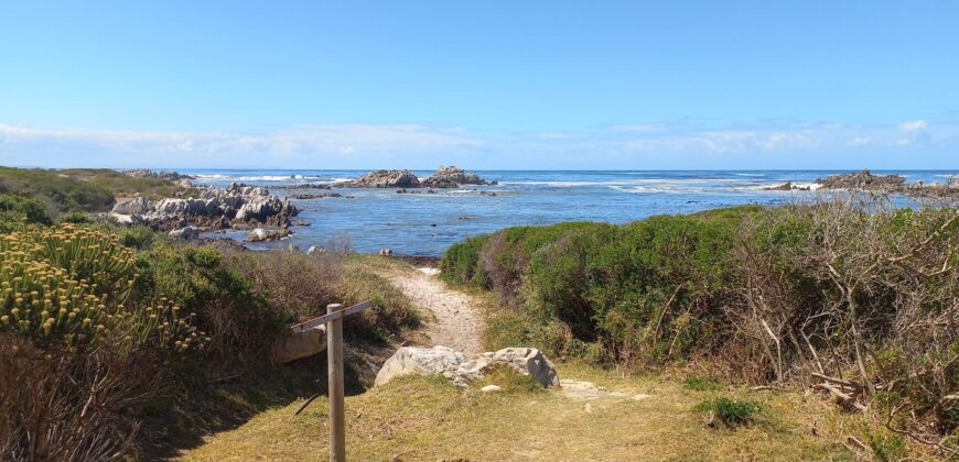 “A genuine Stone’s Throw from the Ocean”