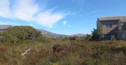 “Greenbelt Gratitude” – Agents Choice