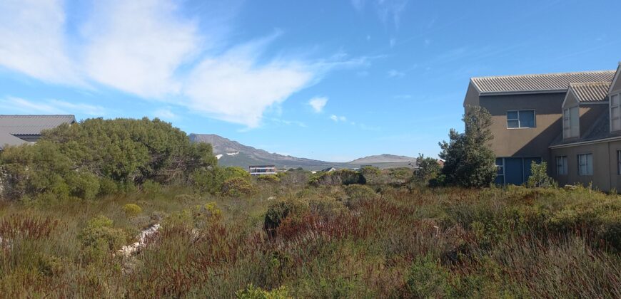 “Greenbelt Gratitude” – Agents Choice