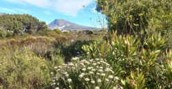 “Greenbelt Gratitude” – Agents Choice