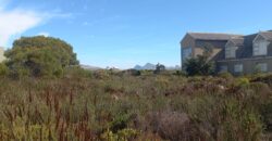 “Greenbelt Gratitude” – Agents Choice