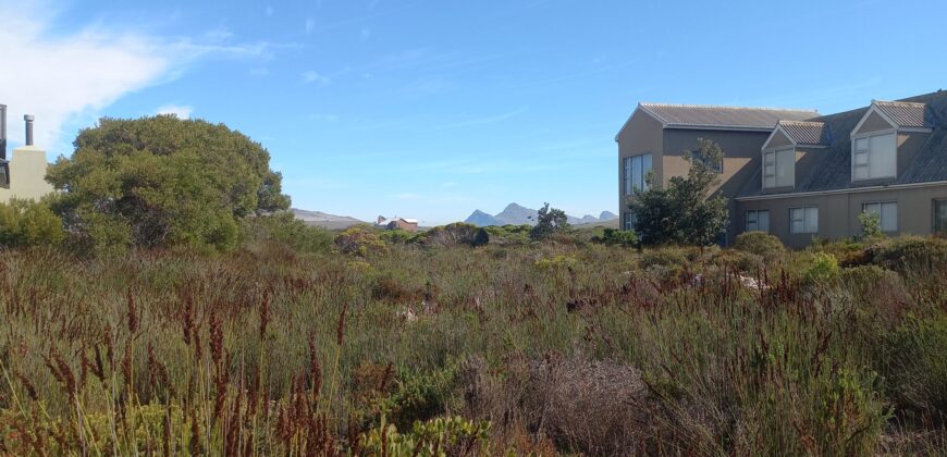 “Greenbelt Gratitude” – Agents Choice