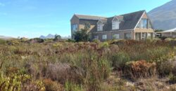 “Greenbelt Gratitude” – Agents Choice