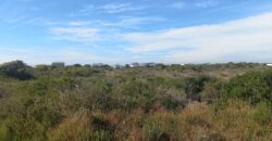 “Greenbelt Gratitude” – Agents Choice