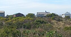 “Greenbelt Gratitude” – Agents Choice