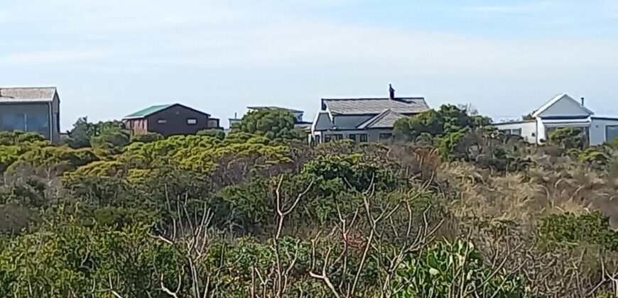 “Greenbelt Gratitude” – Agents Choice