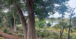 Large elevated sloped plot with terrific sea views over expansive  greenbelt to front