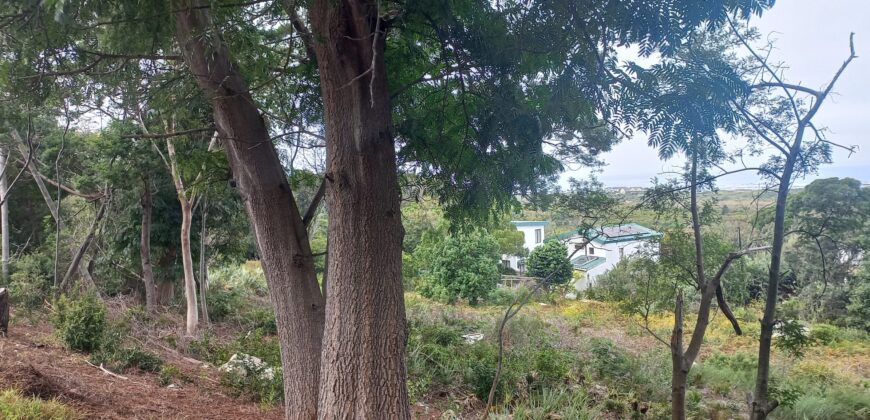 Large elevated sloped plot with terrific sea views over expansive  greenbelt to front
