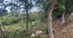 Large elevated sloped plot with terrific sea views over expansive  greenbelt to front