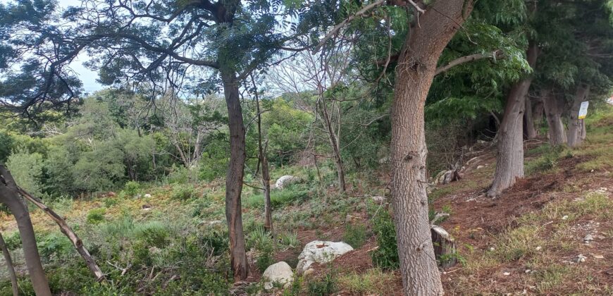 Large elevated sloped plot with terrific sea views over expansive  greenbelt to front