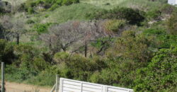 The Rustic Beach House —– ” Second row seats….. one plot back from the beach”