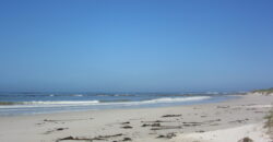 The Rustic Beach House —– ” Second row seats….. one plot back from the beach”