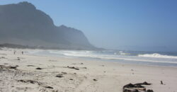 The Rustic Beach House —– ” Second row seats….. one plot back from the beach”