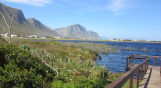 Expansive level plot close to pristine lake