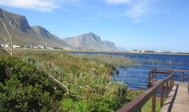 Expansive level plot close to pristine lake